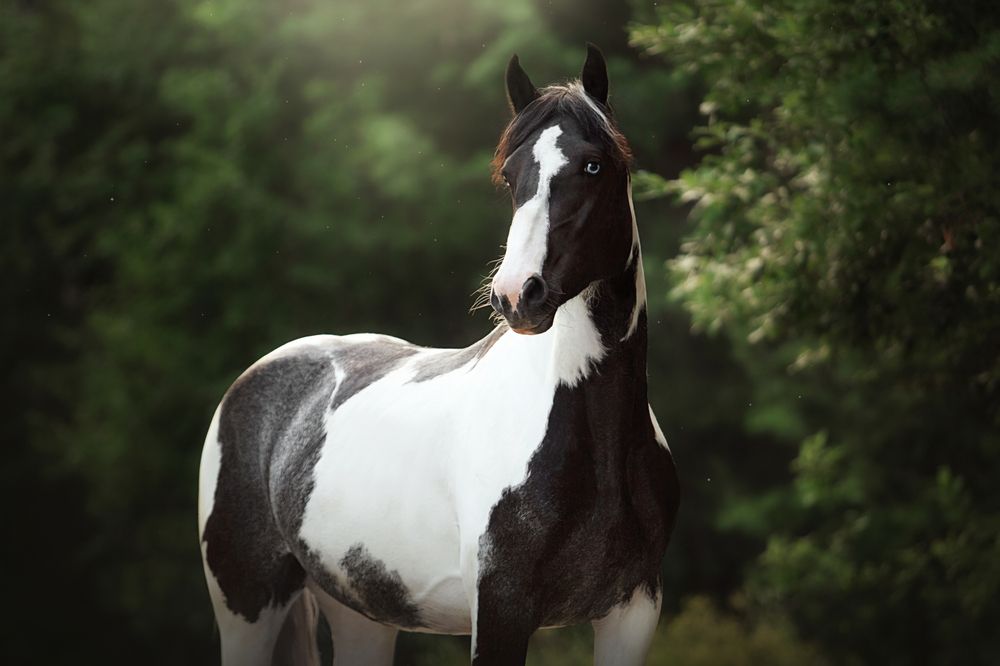 Photograph by Дарья Ералева