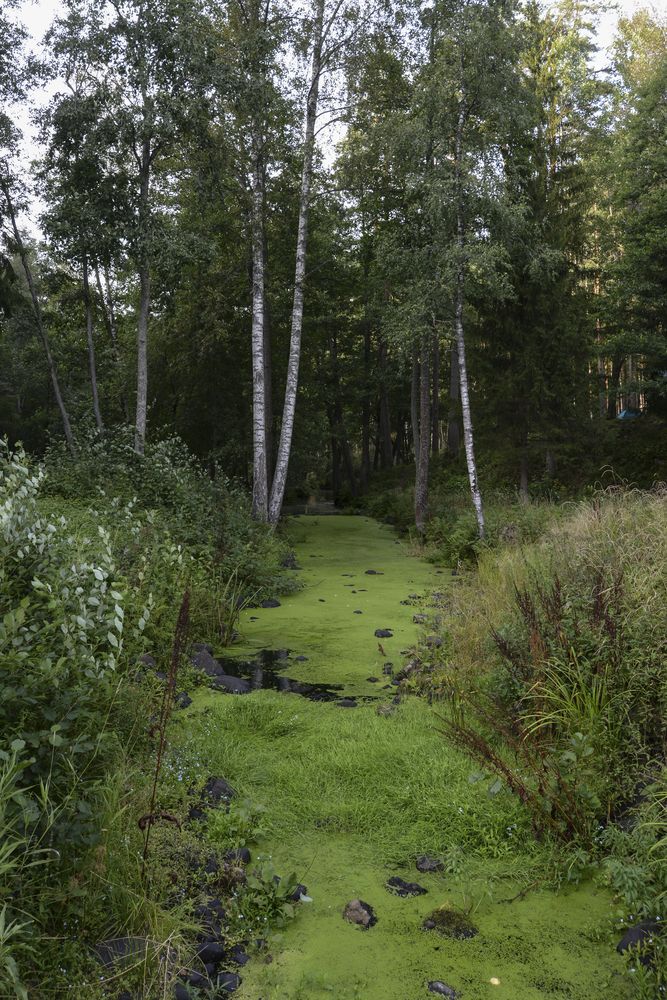 Photograph by Лапенкова Ольга