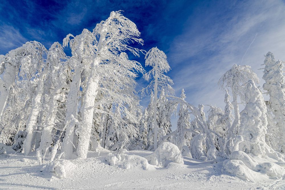 Фотография автора Каргин Валерий