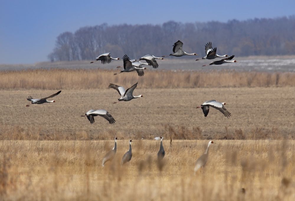 Photograph by Сергей Л