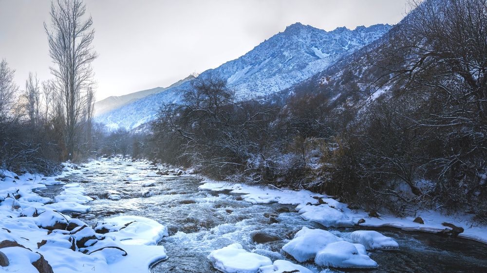 Photograph by Лилия Хакимова