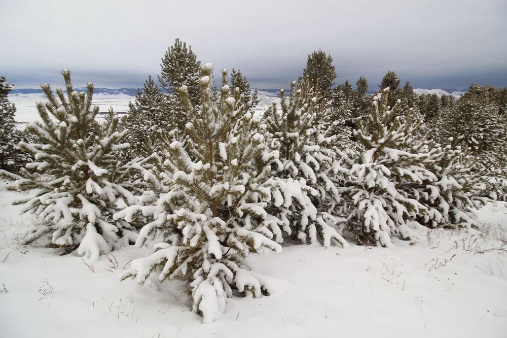 Photograph by Светлана Максимова