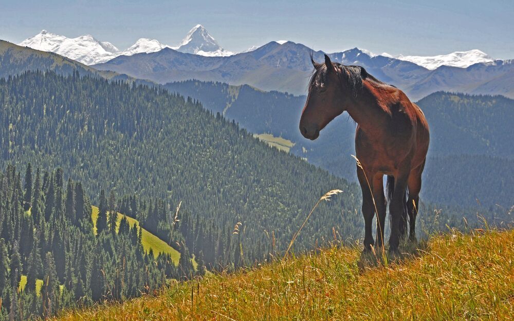 Photograph by Александр Чарын