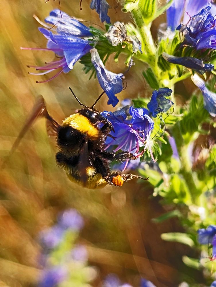 Сладенький мой