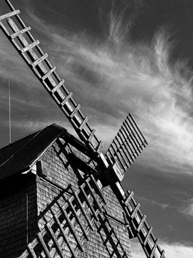 Фотография автора Ирина Богоносова