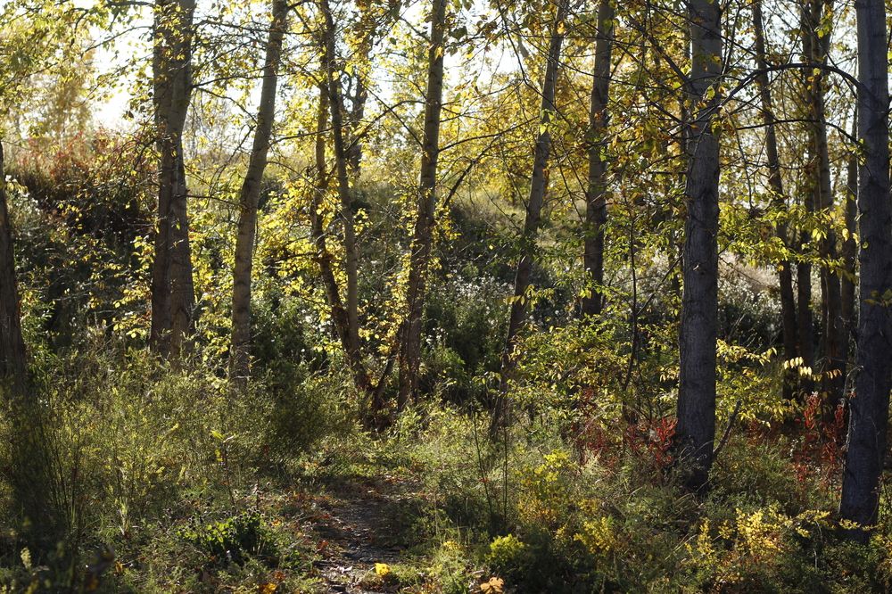 Photograph by Светлана Максимова