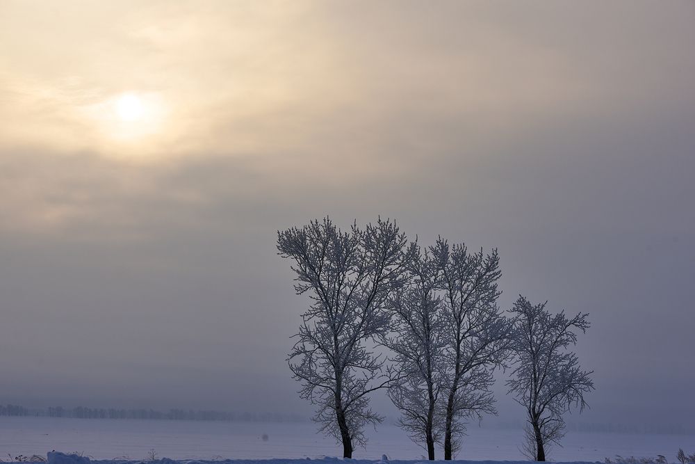 Photograph by Михаил Рогачев