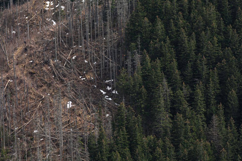 Photograph by Ivars Salmanis