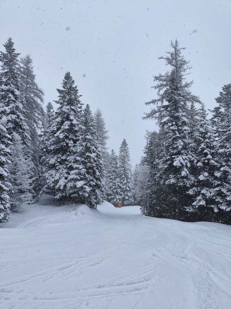 Photograph by Александра Шилова