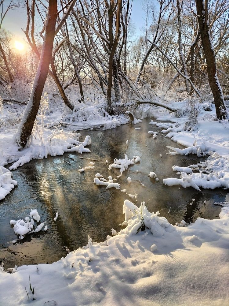 Морозный день