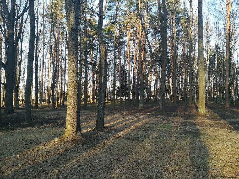 Photograph by Елизавета Алясова