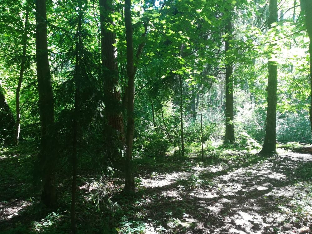 Photograph by Елизавета Алясова