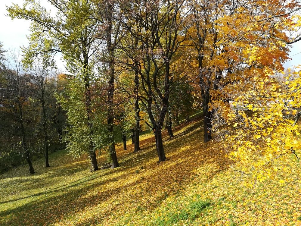 Photograph by Елизавета Алясова