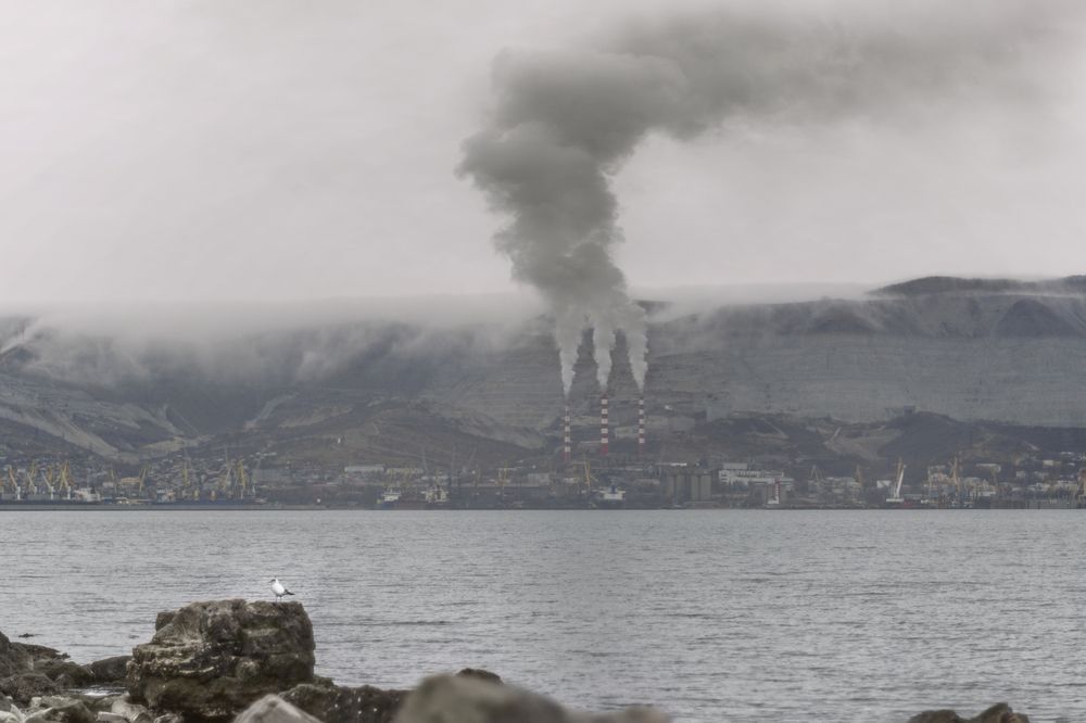 Photograph by Моторина Арина