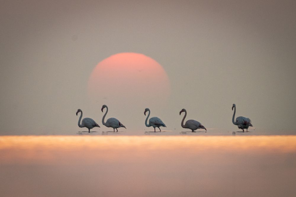 Photograph by Sunil Dhar