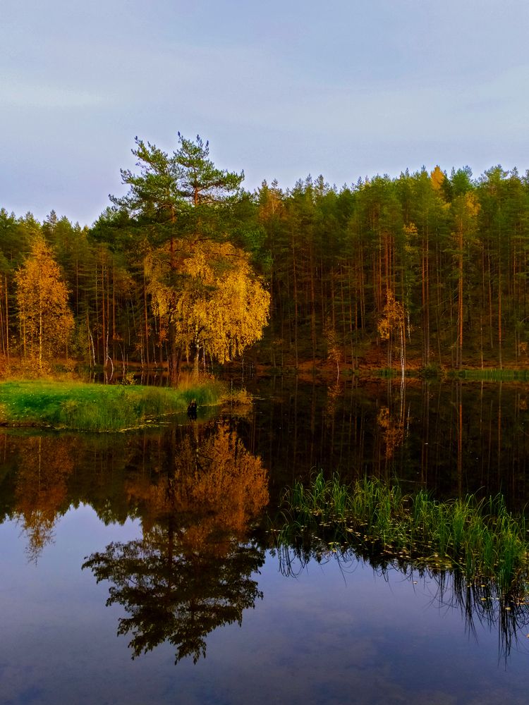 Photograph by Olga Kot