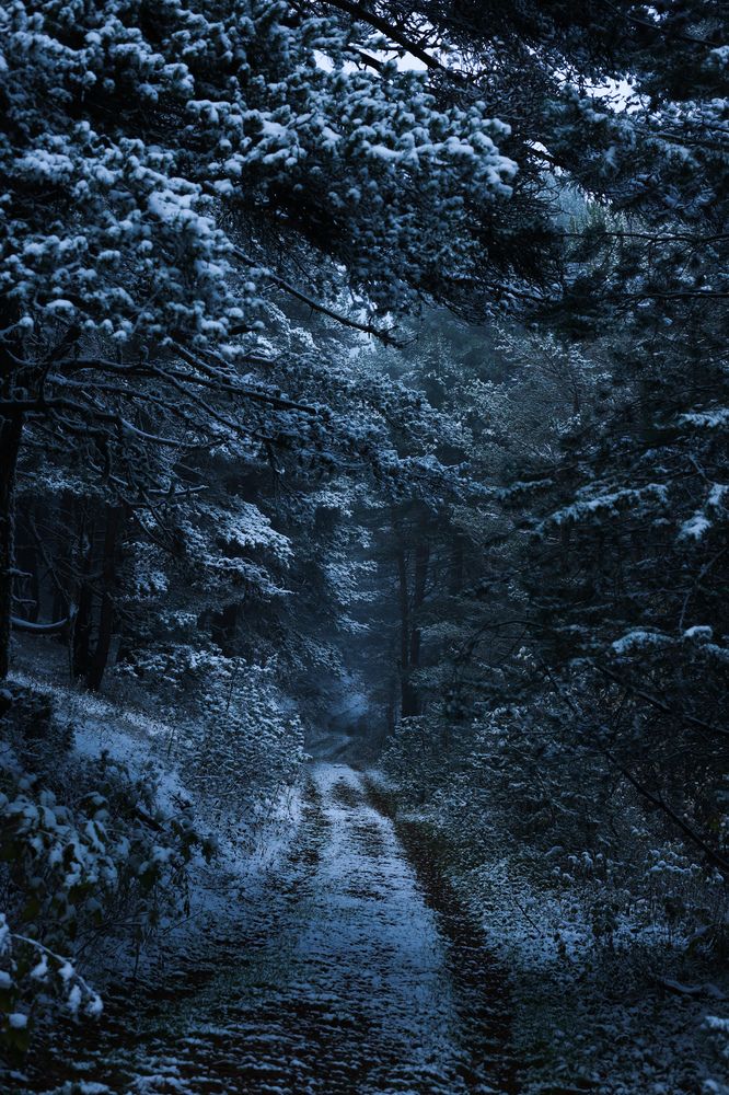 Photograph by Азалия Хакимова