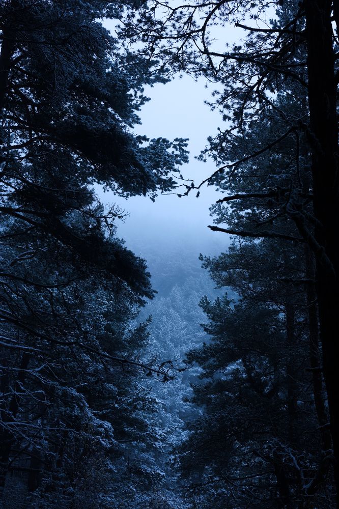 Photograph by Азалия Хакимова