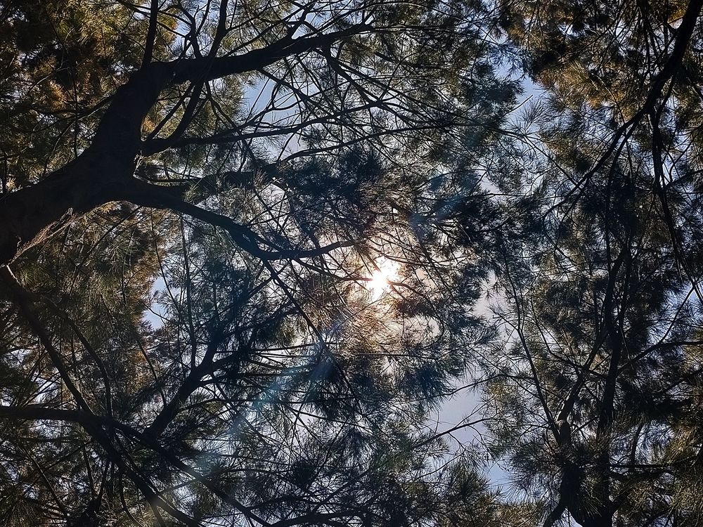 Photograph by Kirsteen Isles