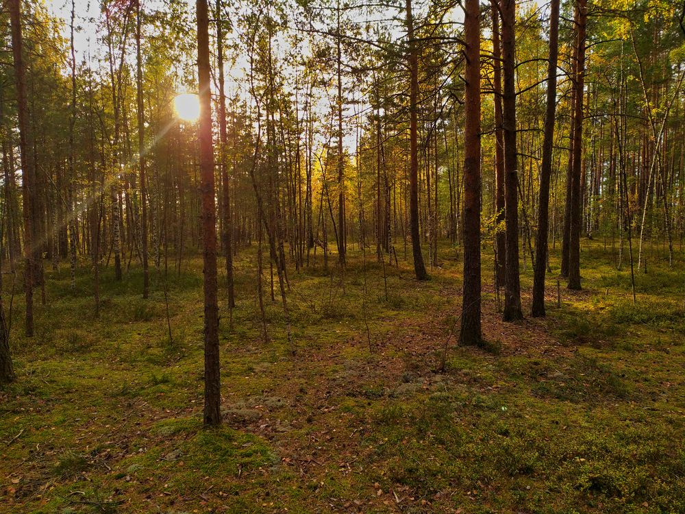 Photograph by Olga Kot