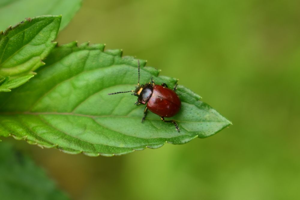 Photograph by Наталья Еременко