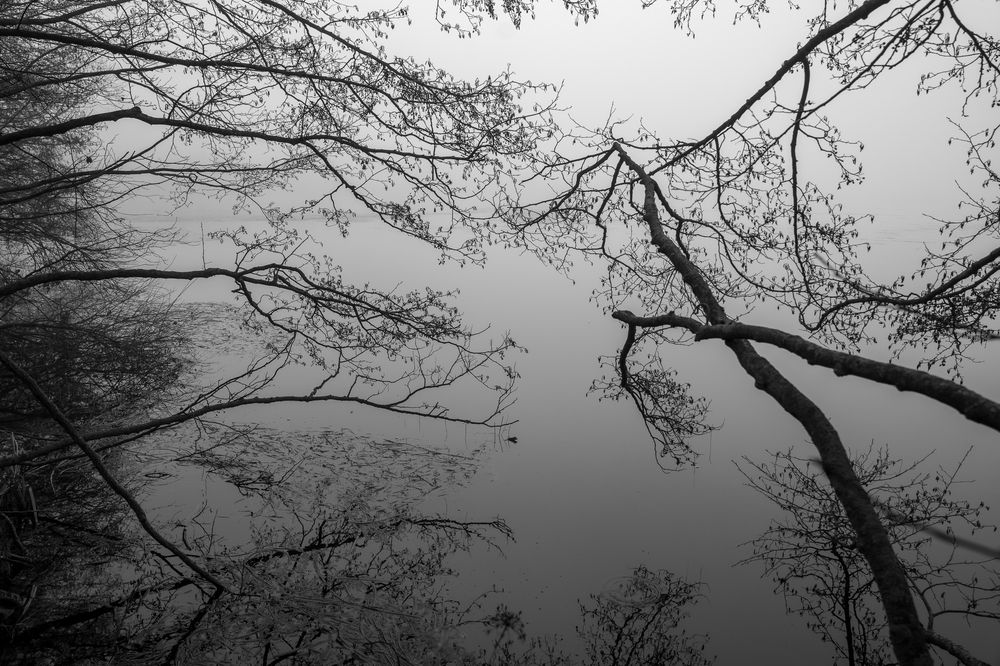 Фотография автора Александр Дюльгер