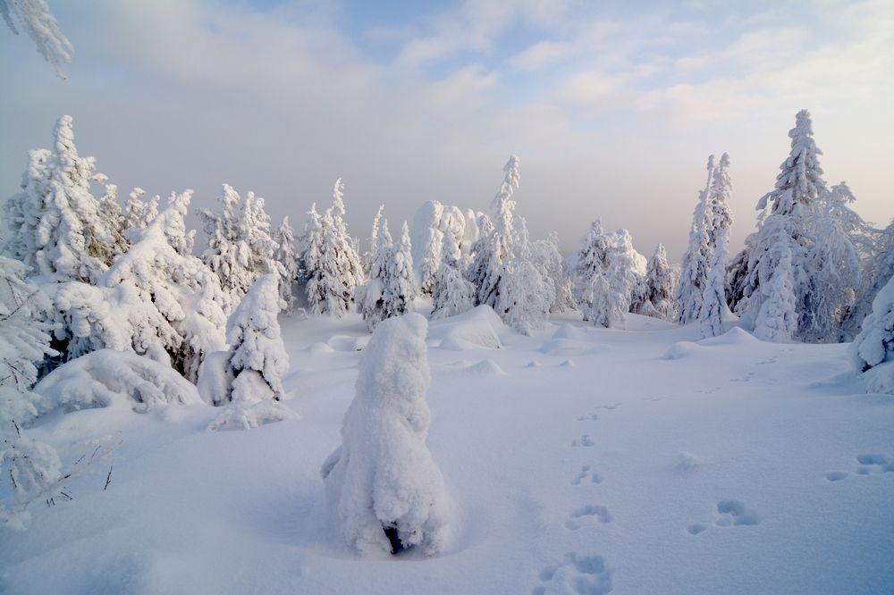 Photograph by Самигулов Хафиз