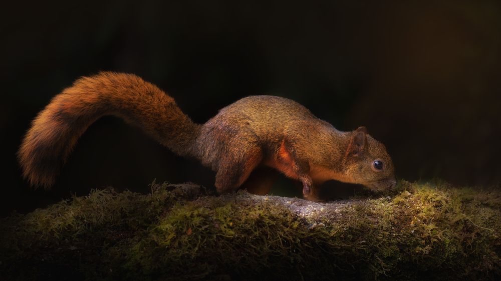 Photograph by Isabel Monge Monge