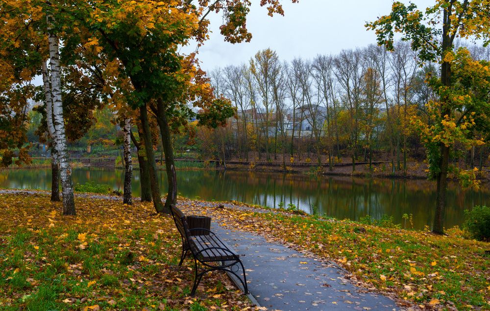 Фотография автора Александр Дюльгер