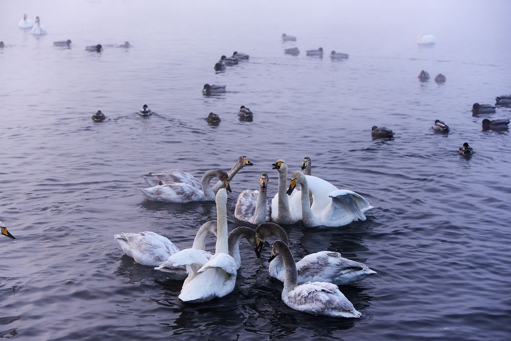 Photograph by Михаил Рогачев