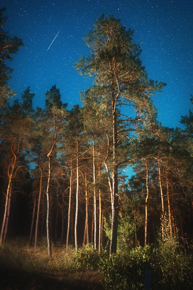 Фотография автора Oleg Suhenko