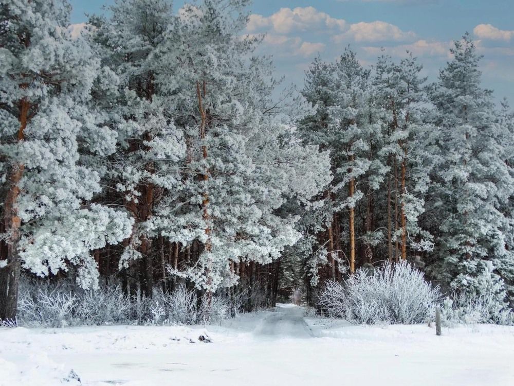 Photograph by Анжелика Трошина