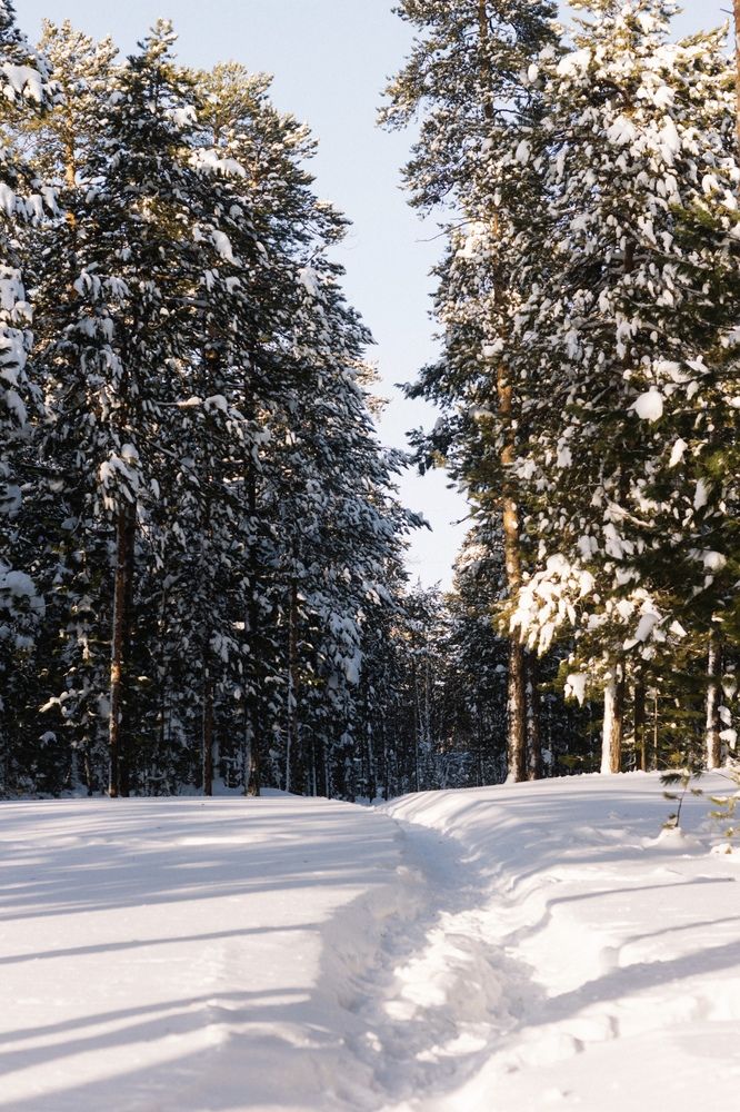 Photograph by Ольга Денисова