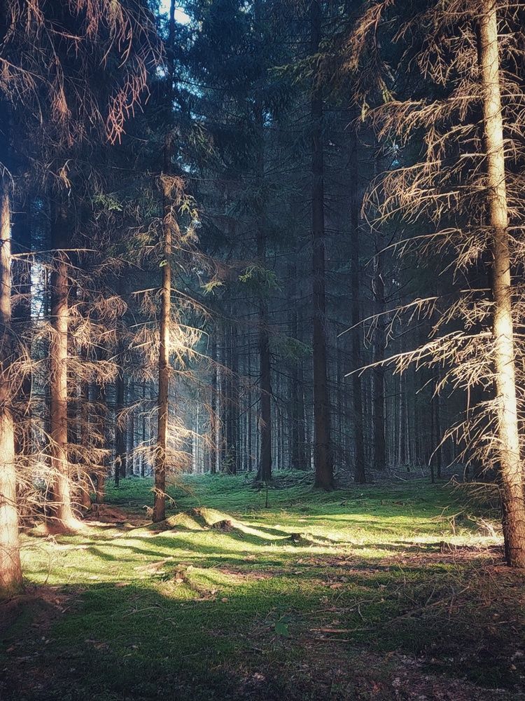 Photograph by Анастасия