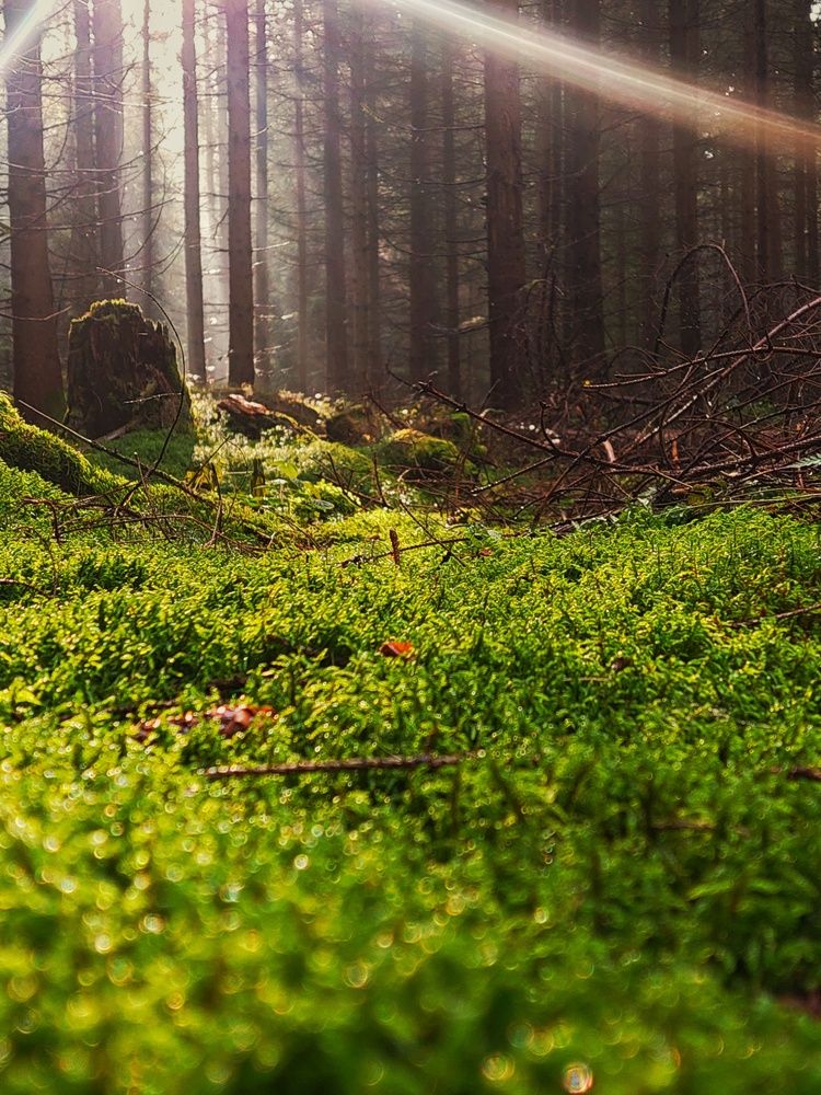 Photograph by Анастасия