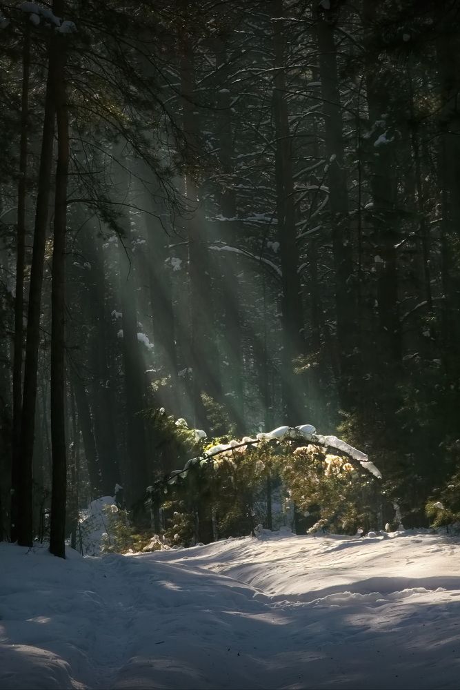 Photograph by Кузнецов Дмитрий