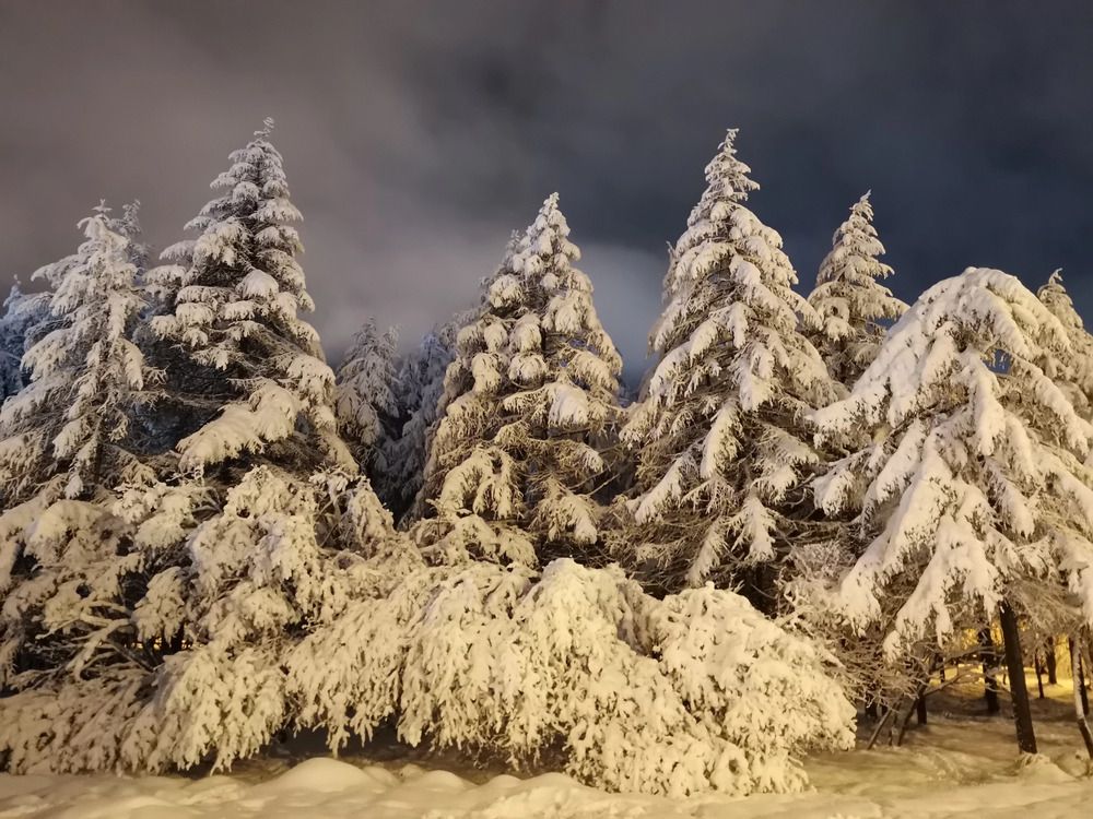 Фотография автора Закурина Маргарита