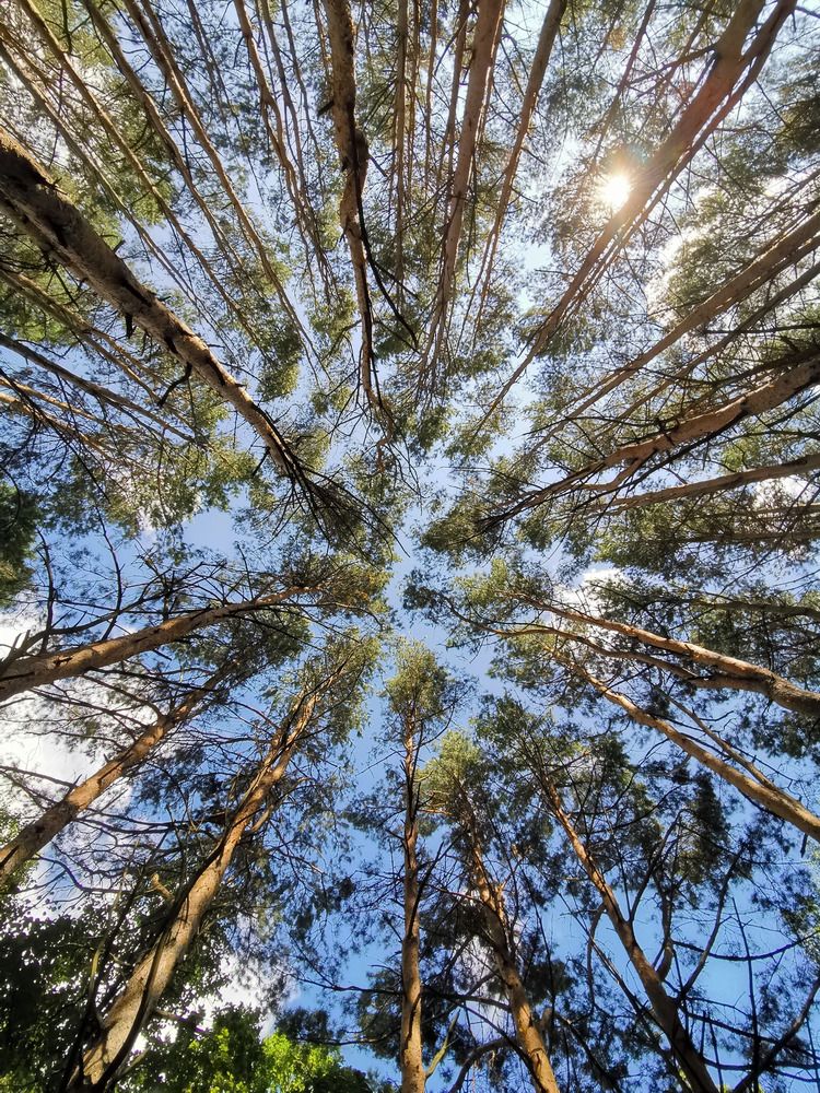 Фотография автора Закурина Маргарита