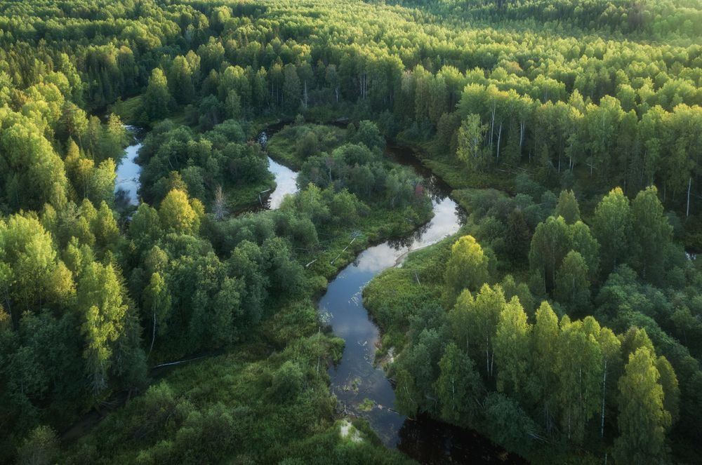 Photograph by Antson Elvis