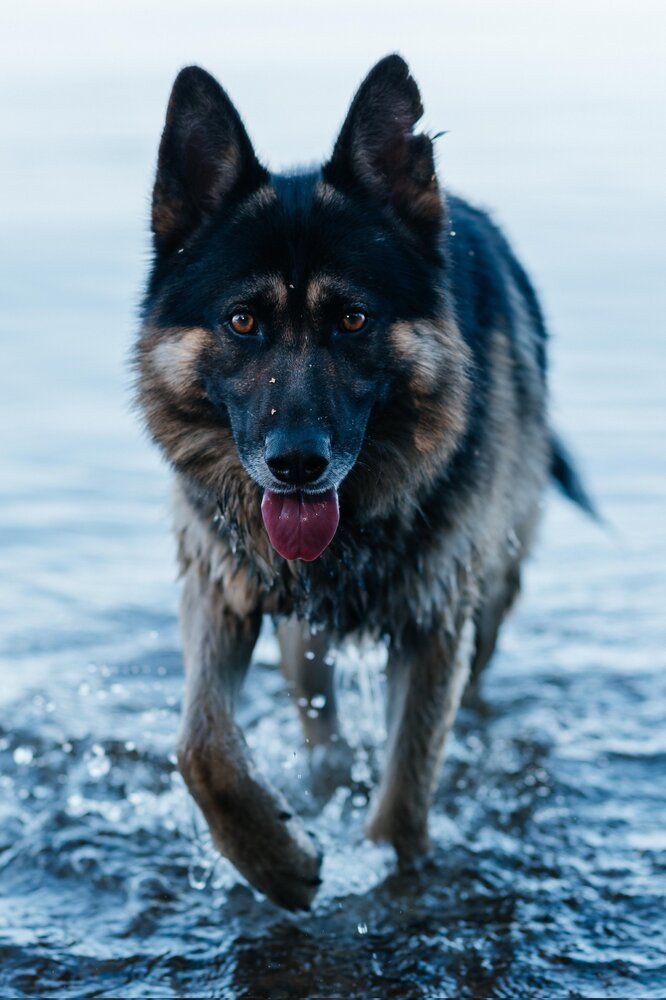 Photograph by Наталья Мерончук