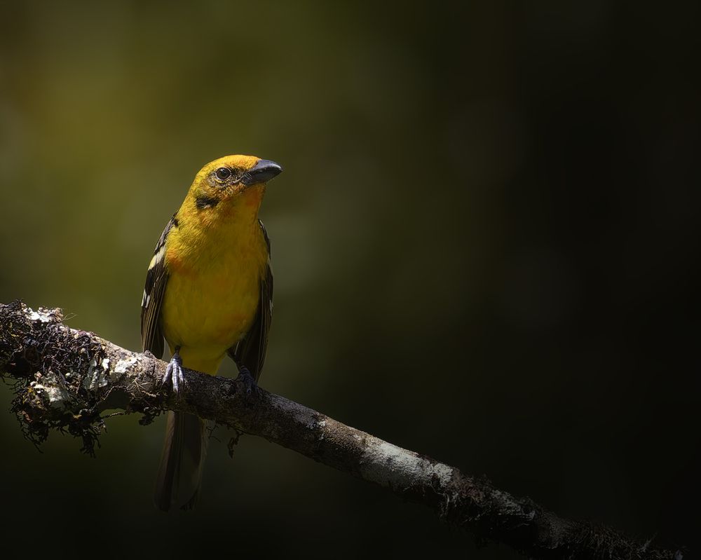 Photograph by Isabel Monge Monge