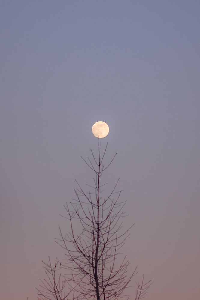 Photograph by Катерина Котт