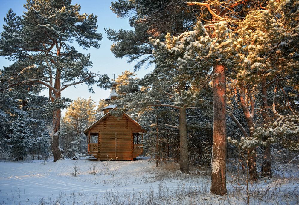 На страже леса.