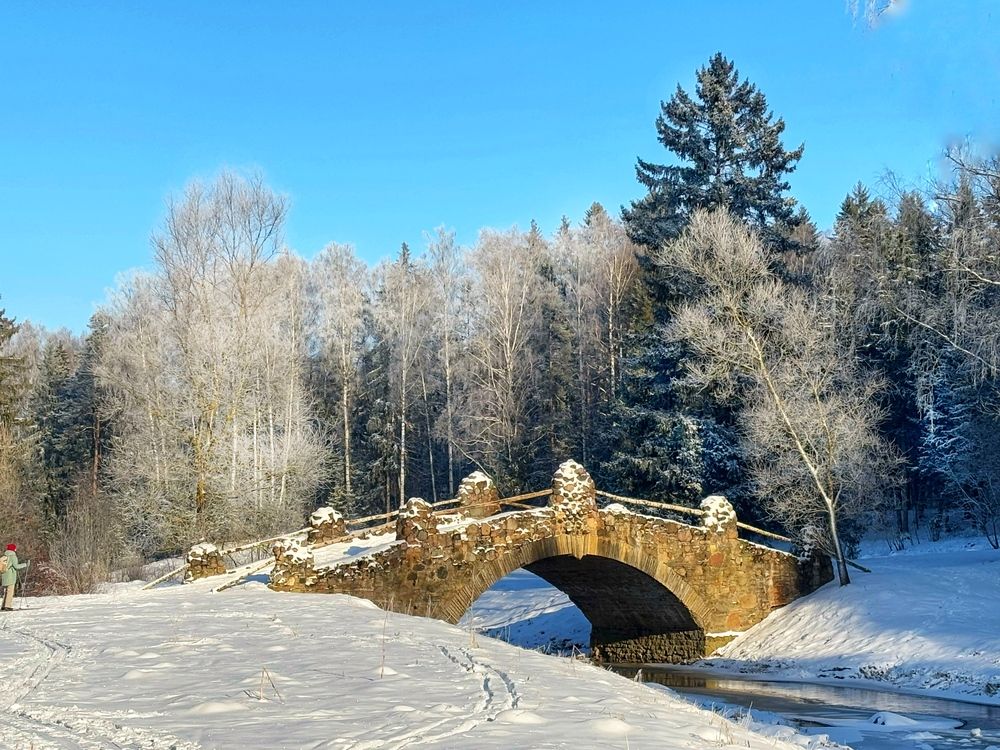 Photograph by Титаренко Людмила