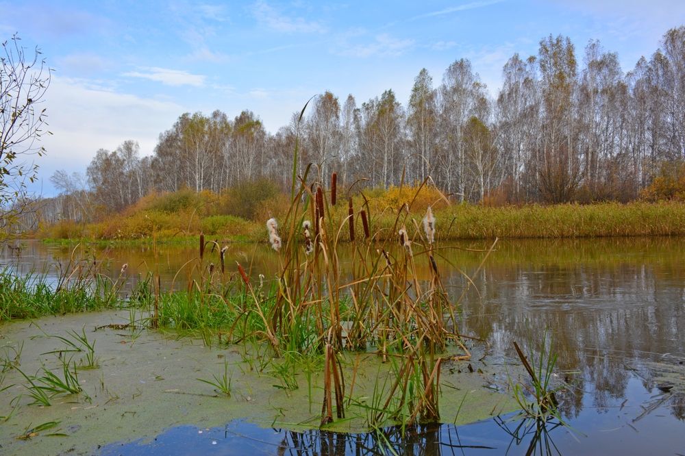 Photograph by Самигулов Хафиз