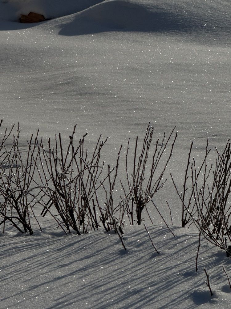 Photograph by Лилия Нуриева