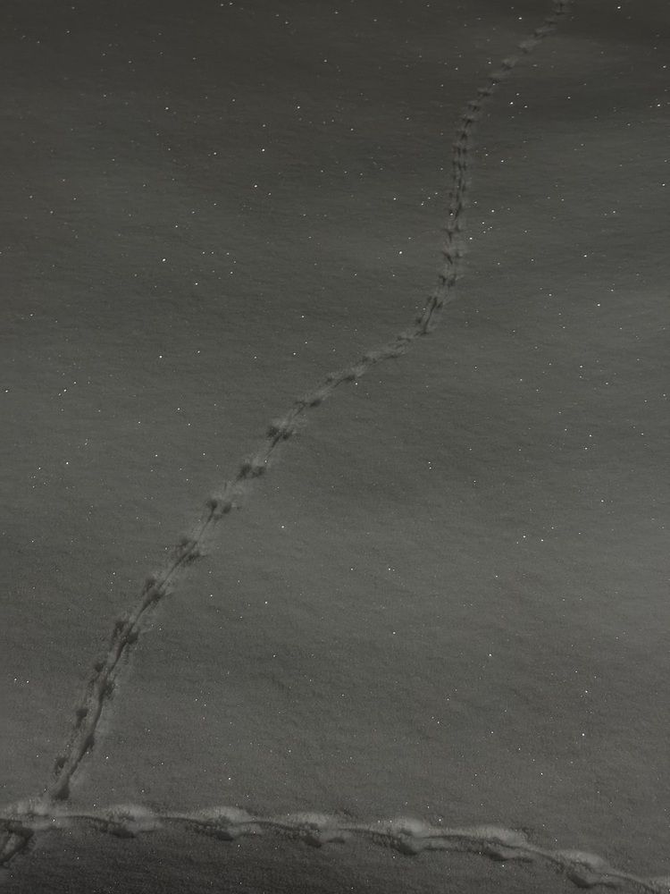 Photograph by Лилия Нуриева