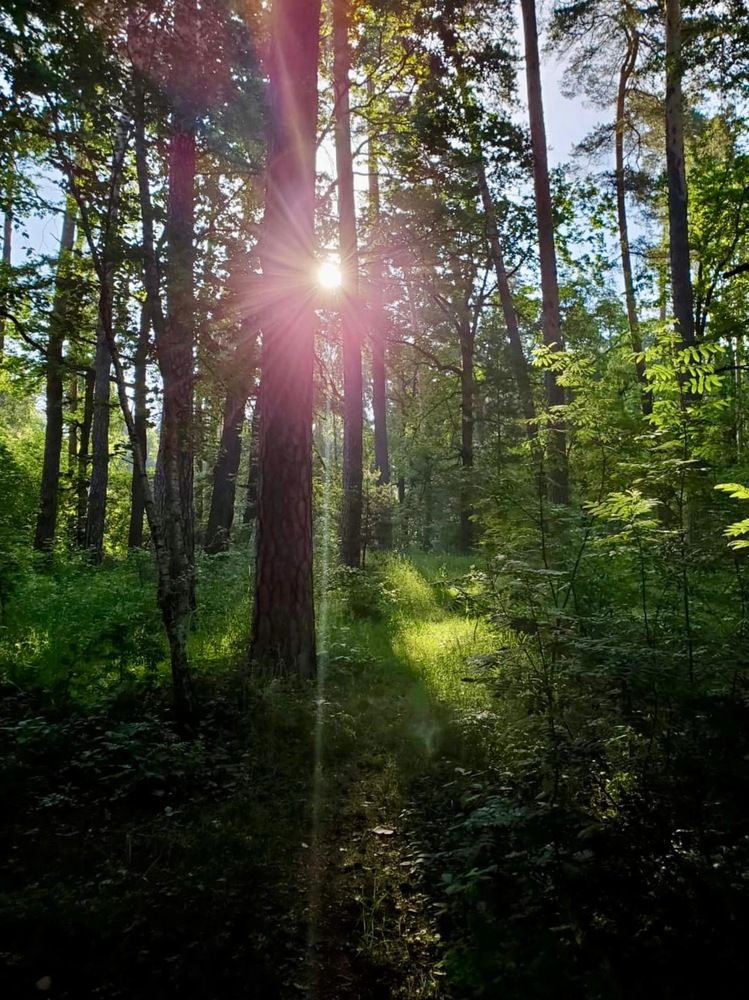 Photograph by Svetlana Rashidova