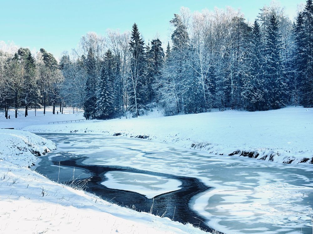 Photograph by Титаренко Людмила