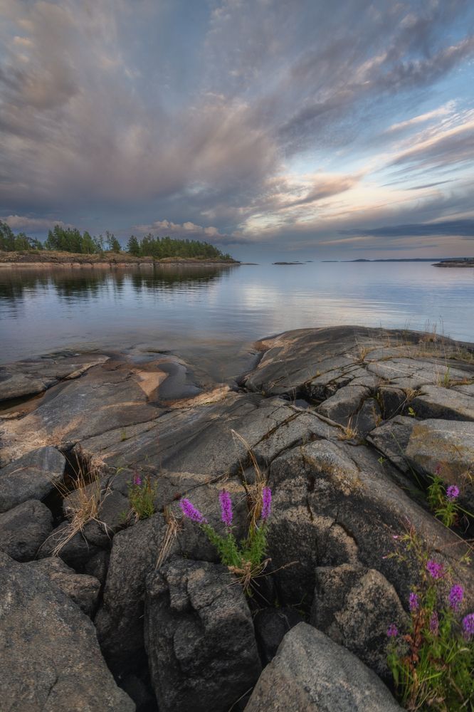 Photograph by Третьякова Анастасия